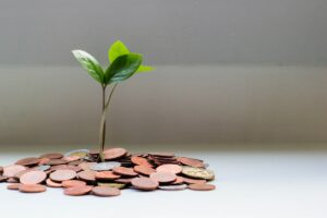 Reserva de emergência: o que é e para que serve