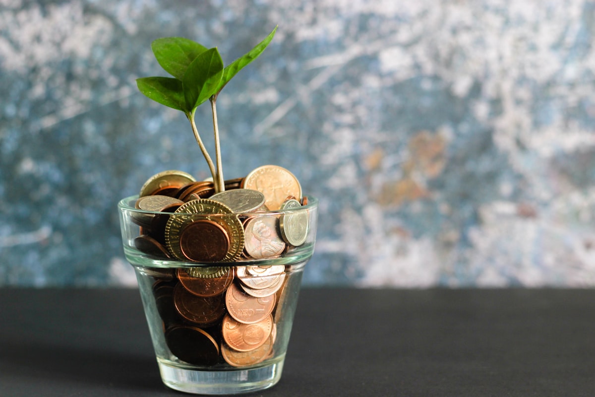 Como planejar uma compra grande sem se endividar